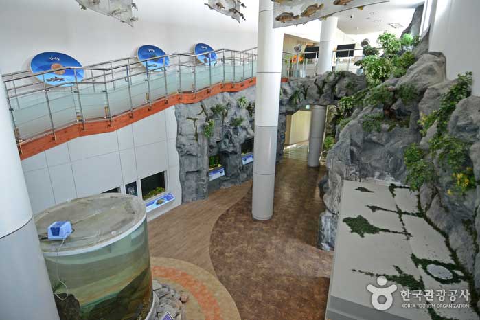 Centre écologique des poissons d'eau douce de la rivière Pyeongchang-dong - Pyeongchang-gun, Gangwon, Corée du Sud (https://codecorea.github.io)