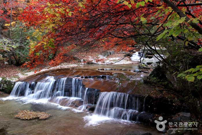 バンテサン自然休養林 - 韓国江原道仁済郡