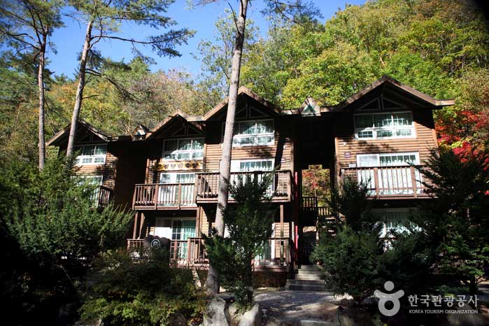 Centre de loisirs Forest Culture - Inje-gun, Gangwon, Corée du Sud (https://codecorea.github.io)