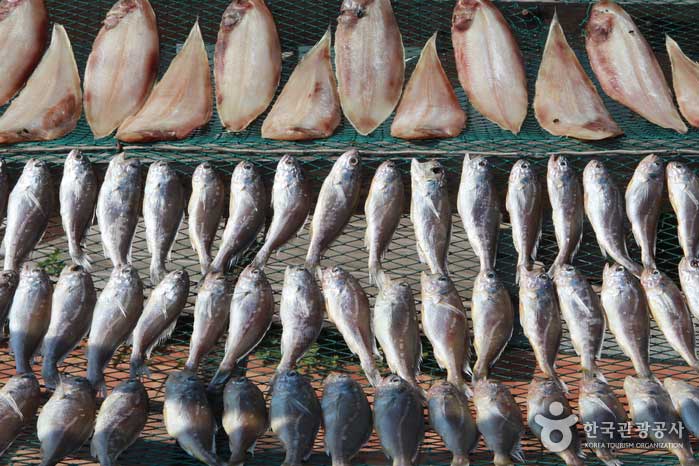 カンウォルド、海風で干した魚 - 韓国テーン郡 (https://codecorea.github.io)
