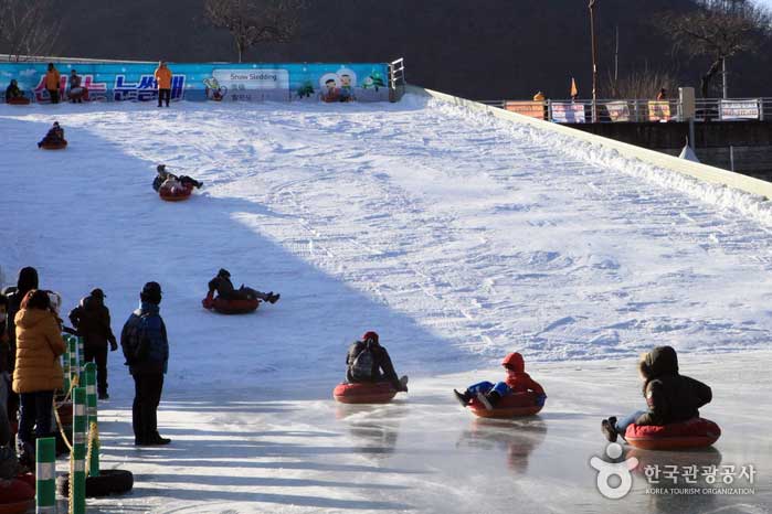 Adults enjoy thrilling sledding - Hwacheon-gun, Gangwon-do, Korea (https://codecorea.github.io)