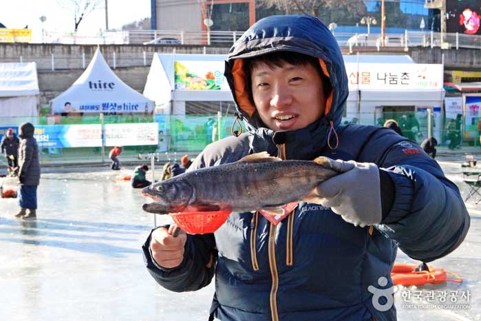 Горная форель поймали в конце беды - Hwacheon-gun, Канвондо, Корея (https://codecorea.github.io)