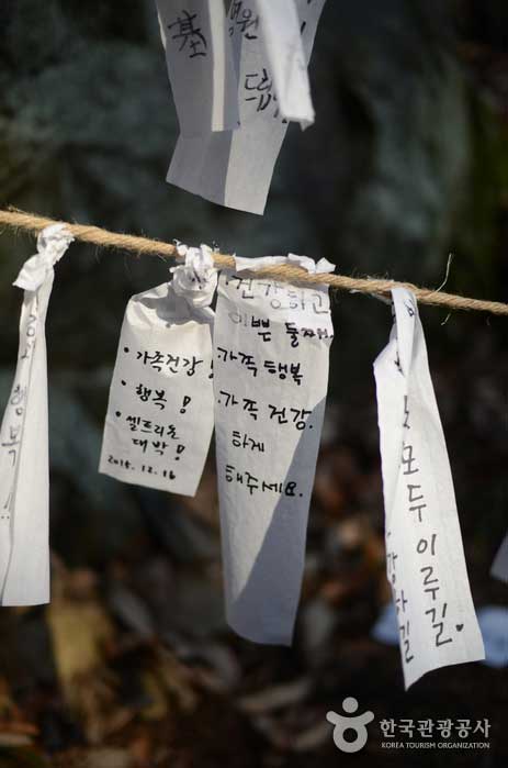 Des notes de souhaits suspendues devant le rocher des souhaits - Cheongyang-gun, Corée du Sud (https://codecorea.github.io)