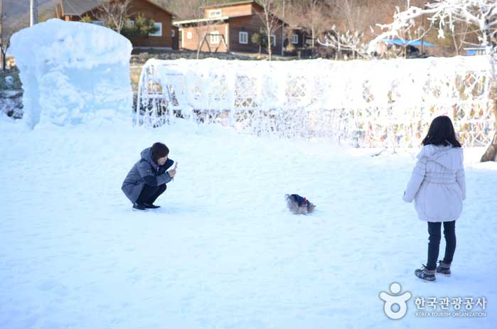 Alpendorf, in dem Hunde zum Spielen kommen - Cheongyang-Pistole, Südkorea (https://codecorea.github.io)