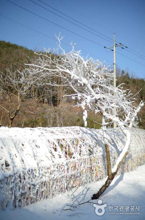 Schneebedeckter Wunschtunnel - Cheongyang-Pistole, Südkorea (https://codecorea.github.io)